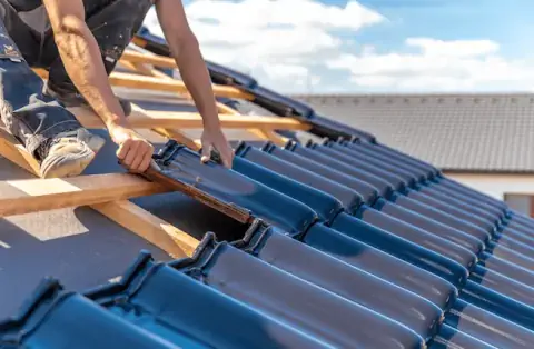 Couverture - Les Damps