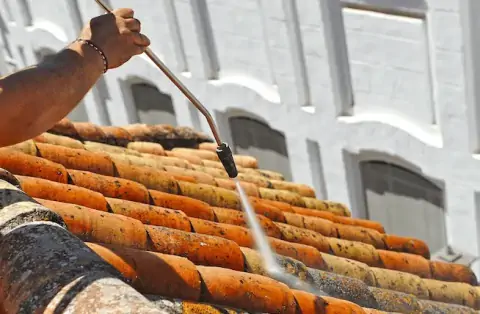 Nettoyage de toitures - Les Damps